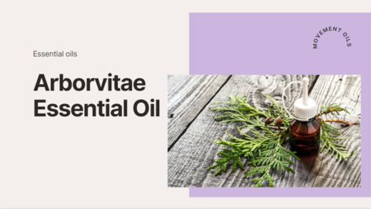 Arborvitae Essential Oil