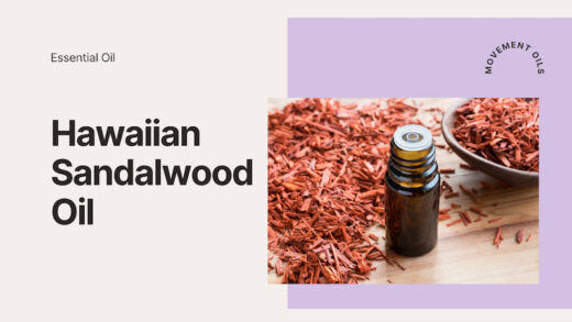 Hawaiian Sandalwood Oil